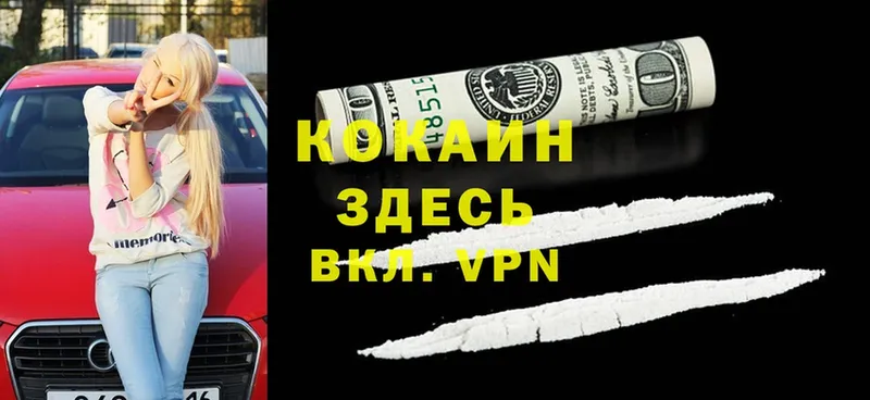 Cocaine Боливия  где найти наркотики  Володарск 